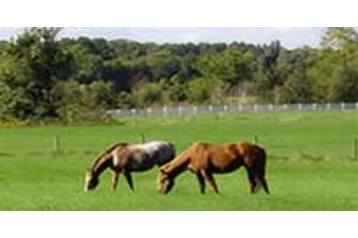 Italia Penzión Soriano nel Cimino, Exteriorul